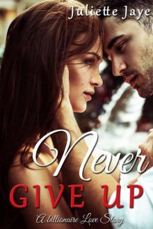 Never Give Up (A Billionaire Love Story) Read online