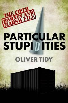 Particular Stupidities (The Romney And Marsh Files Book 5) Read online