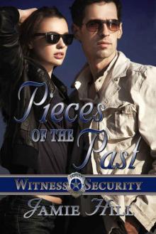 Pieces of the Past (Witness Security Book 1) Read online