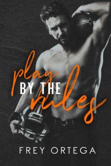 Play by the Rules Read online