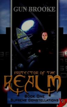 Protector of the Realm Read online