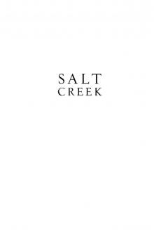 Salt Creek Read online