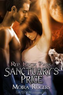 Sanctuary's Price: Red Rock Pass, Book 3