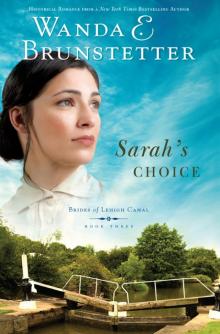 Sarah's Choice Read online