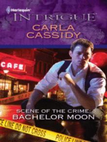 Scene of the Crime: Bachelor Moon Read online