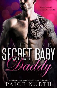 Secret Baby Daddy (Part One) Read online