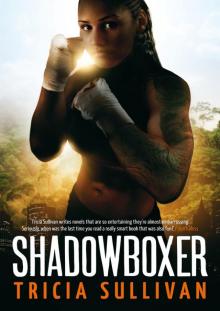 Shadowboxer Read online