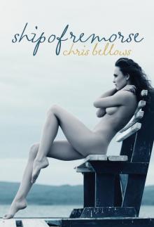 Ship of Remorse Read online