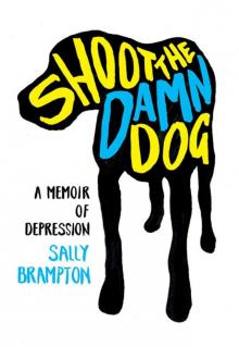 Shoot the Damn Dog: A Memoir of Depression Read online