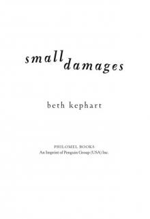 Small Damages Read online