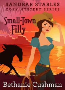 Small Town Filly (Sandbar Stables Cozy Mystery Book 1) Read online