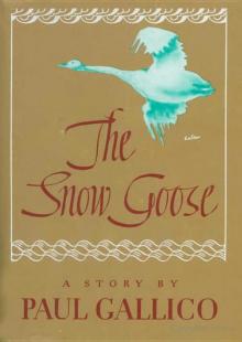 Snow Goose Read online