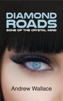 Sons of the Crystal Mind (Diamond Roads Book 1)