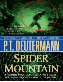 Spider mountain cr-2 Read online