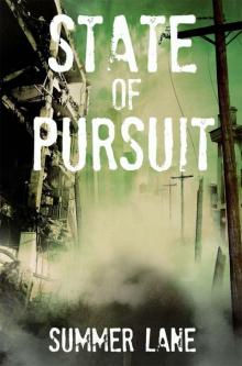 State of Pursuit Read online