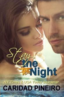 Stay the Night: A Navy Seal Erotic Romance (Take a Chance Book 4) Read online