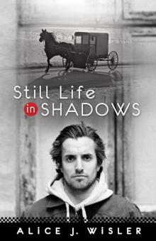 Still Life in Shadows