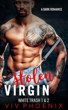 Stolen Virgin Read online