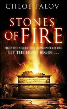 Stones of Fire Read online