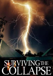 Surviving the Collapse: A Tale Of Survival In A Powerless World- Book 2 Read online