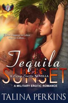 Tequila Sunset: A Military Erotic Romance (Sexy Siesta Series Book 2) Read online