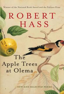 The Apple Trees at Olema Read online