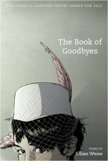 The Book of Goodbyes Read online