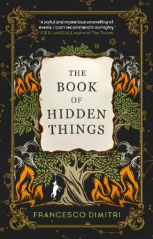 The Book of Hidden Things Read online