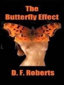 The Butterfly Effect