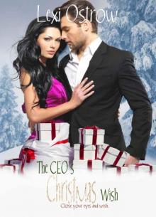 The CEO's Christmas Wish (The Christmas Wish Series Book 2) Read online