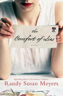 The Comfort of Lies: A Novel Read online