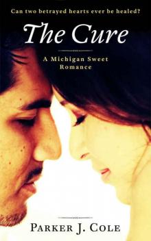 The Cure (A Michigan Sweet Romance #1) Read online