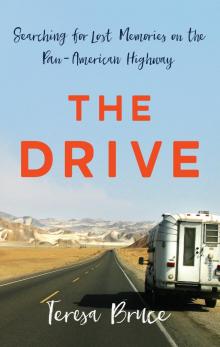 The Drive Read online