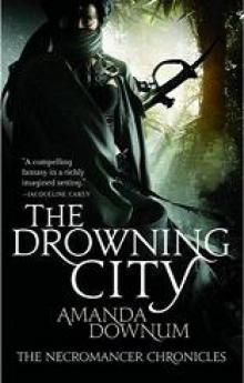 The Drowning City Read online