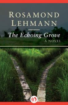 The Echoing Grove Read online