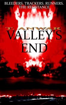 The Effacing (Book 1.5): Valley's End