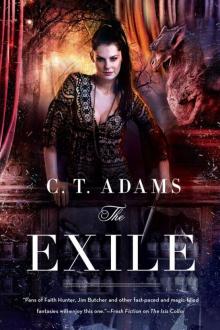 The Exile: Book One of the Fae Read online