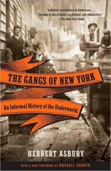 The Gangs of New York Read online