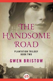 The Handsome Road Read online