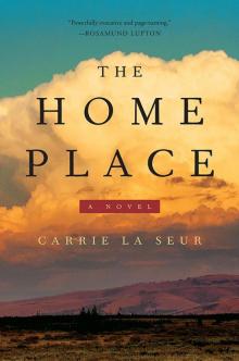 The Home Place: A Novel