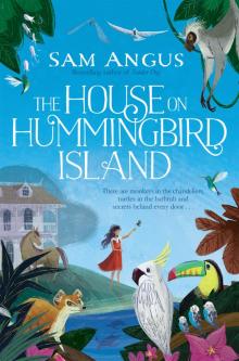 The House on Hummingbird Island Read online
