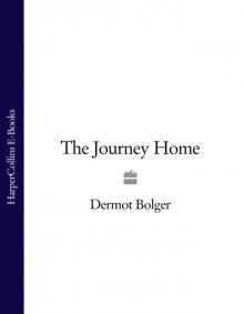 The Journey Home Read online