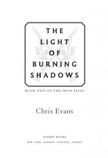 The Light of Burning Shadows Read online