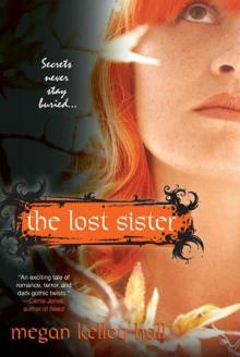 The Lost Sister Read online