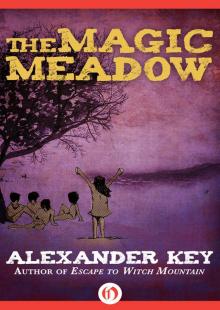 The Magic Meadow Read online