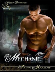 The Mechanic Read online