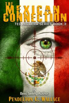 The Mexican Connection: Ted Higuera Series Book 3 Read online