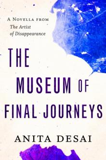 The Museum of Final Journeys: A Novella Read online