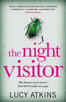 The Night Visitor Read online