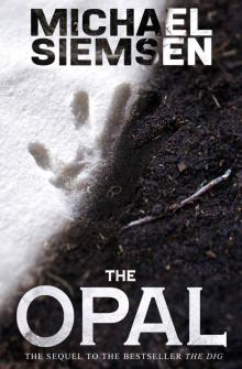 The Opal (Book 2 of the Matt Turner Series) Read online